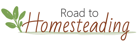 Road To Homesteading
