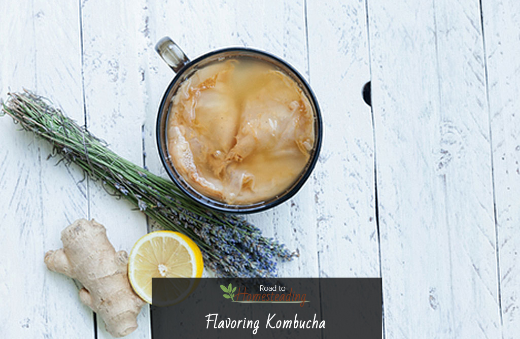 Flavoring Kombucha