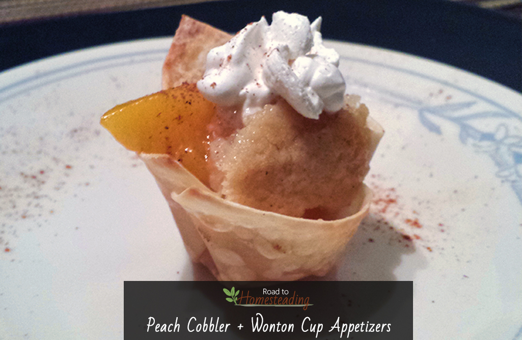 Peach Cobbler + Wonton Cup Appetizers