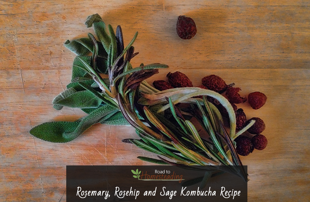 Rosemary, Rosehip and Sage Kombucha Recipe