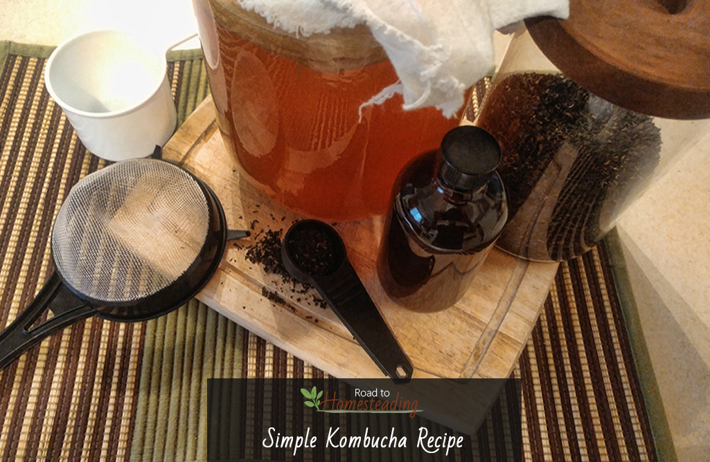 Simple Kombucha Recipe