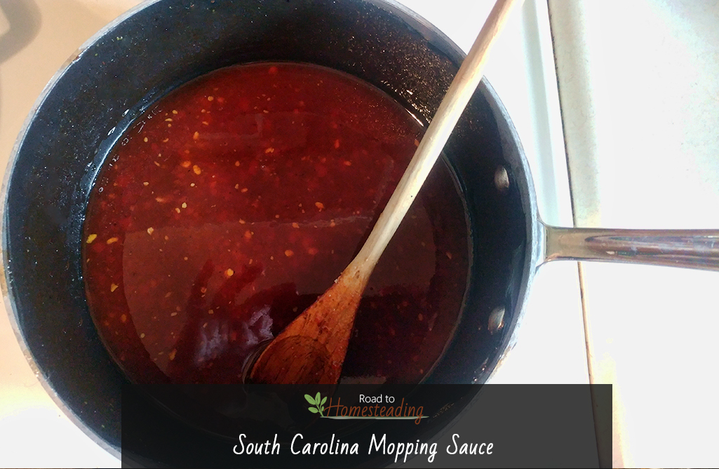 South Carolina Mopping Sauce