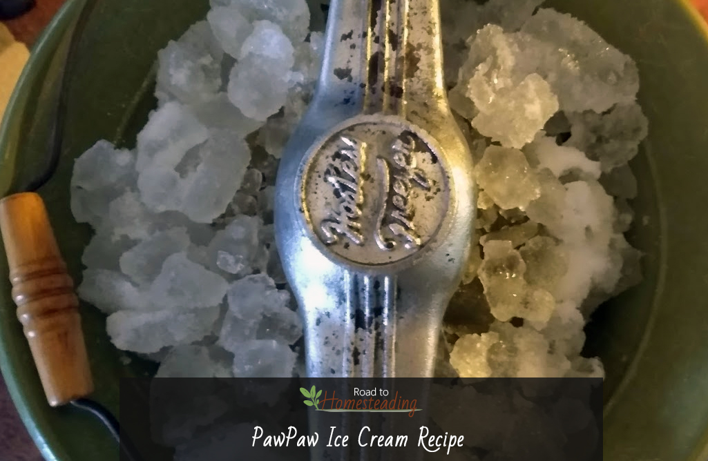 Pawpaw Icecream